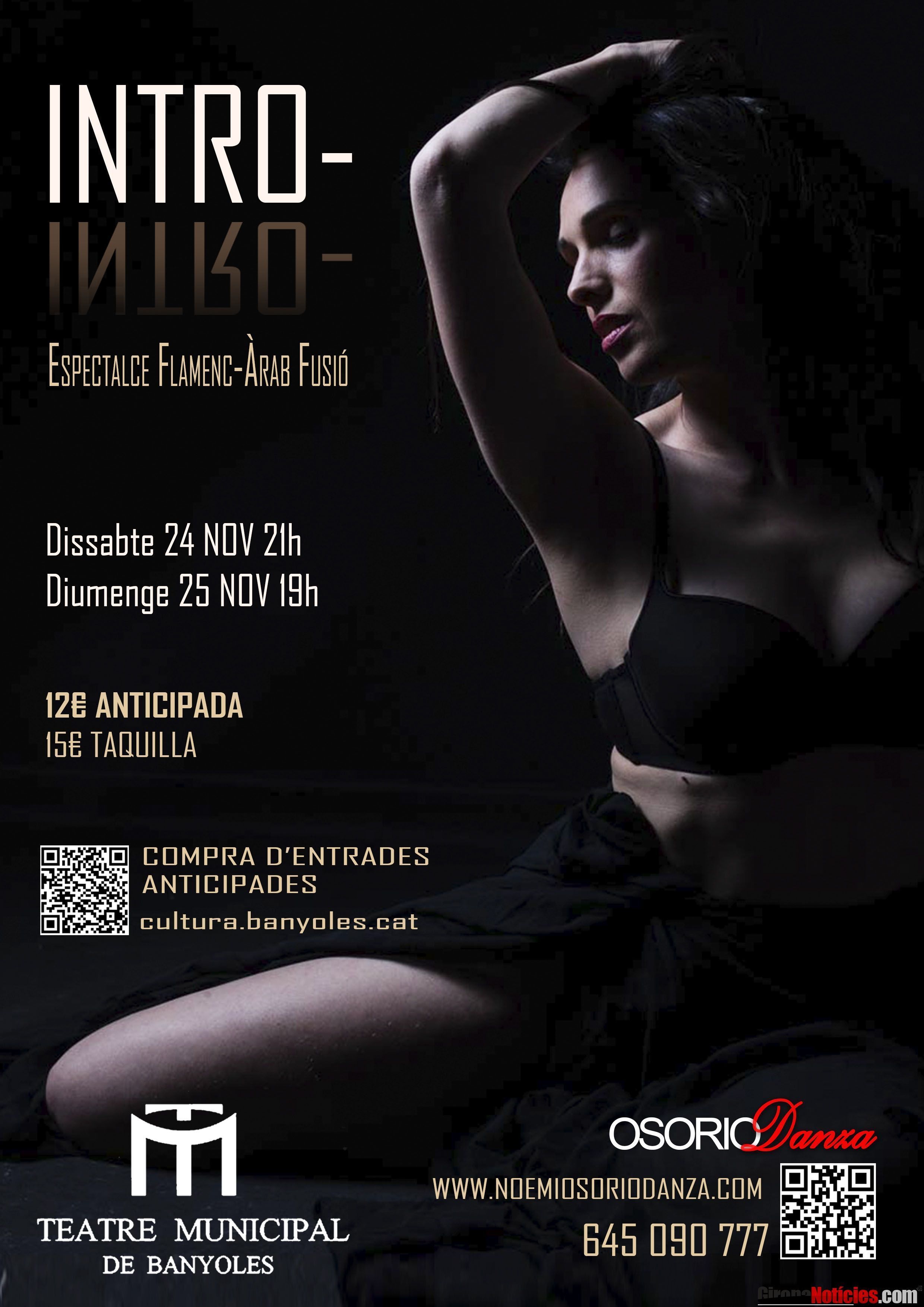 Espectacle INTRO- (Banyoles, 24 i 25 de novembre)