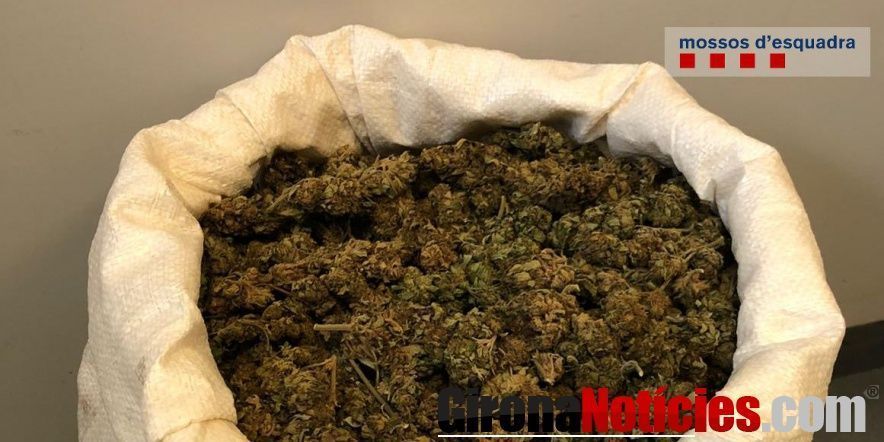 Mossos d'Esquadra 