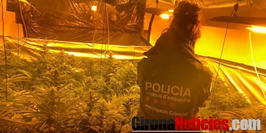 Mossos d'Esquadra 