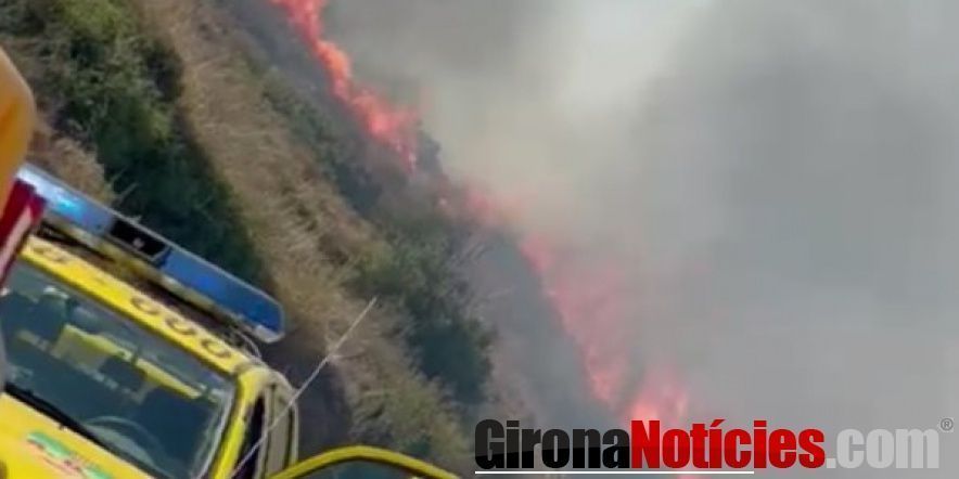 incendi afecta 48 hectàrees de Portbou i Cervera de la Marenda 
