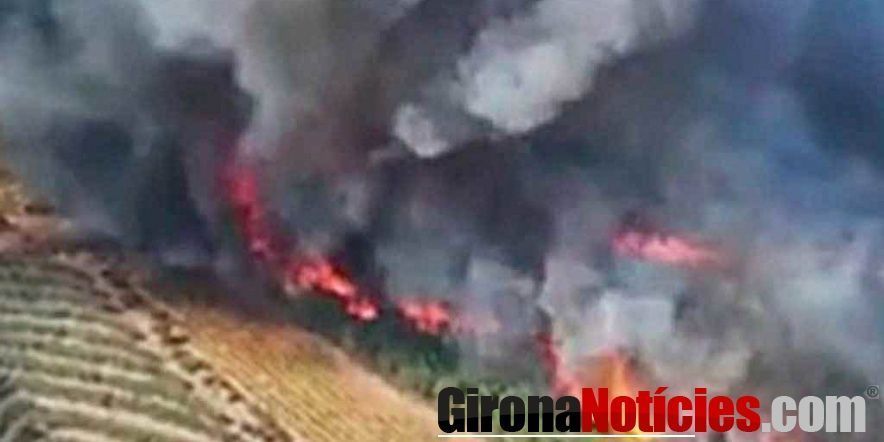 Incendi a Salses 