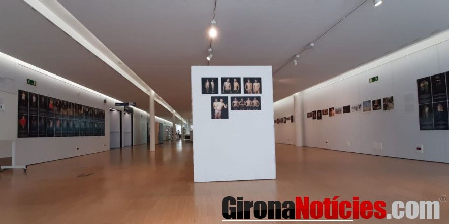 Exposició trans 