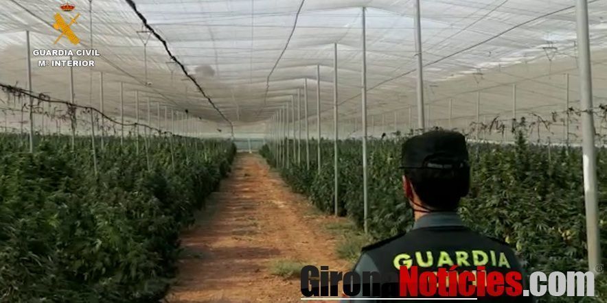 Guardia Civil 