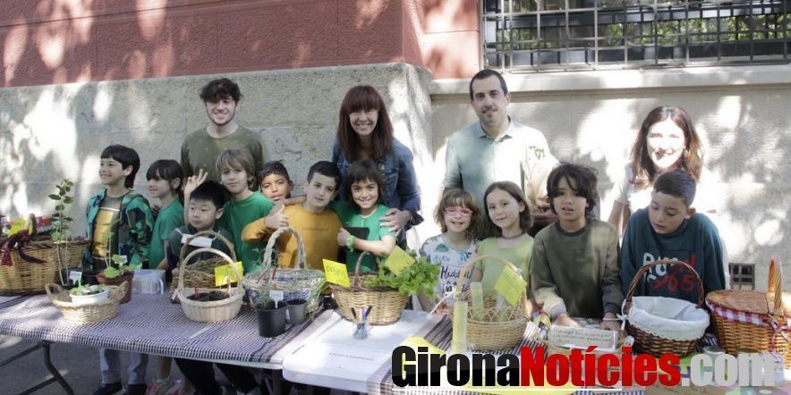 Horts escolars al Mercat del Lleó 