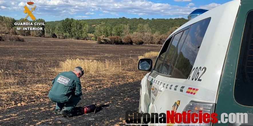 Guardia Civil 