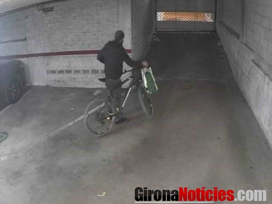 Mossos d'Esquadra 