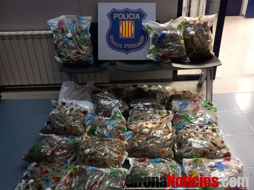 Mossos d'Esquadra 