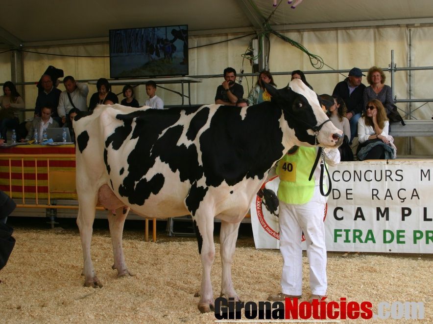Fira Comarcal de Primavera de Campllong 
