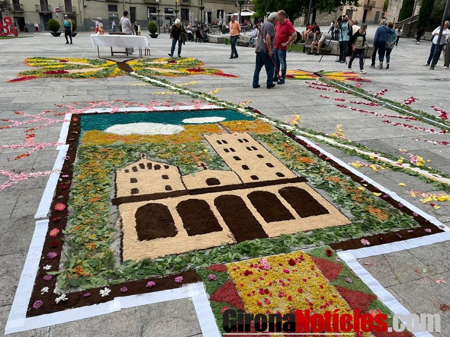 Catifa floral  a Ripoll / Aj.Ripoll 
