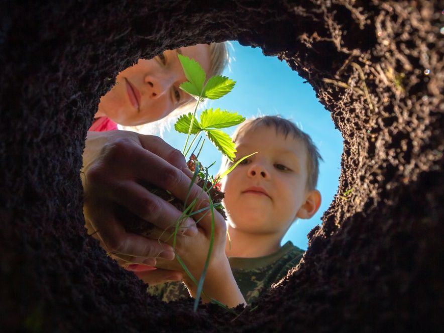 Huerto Urbano 