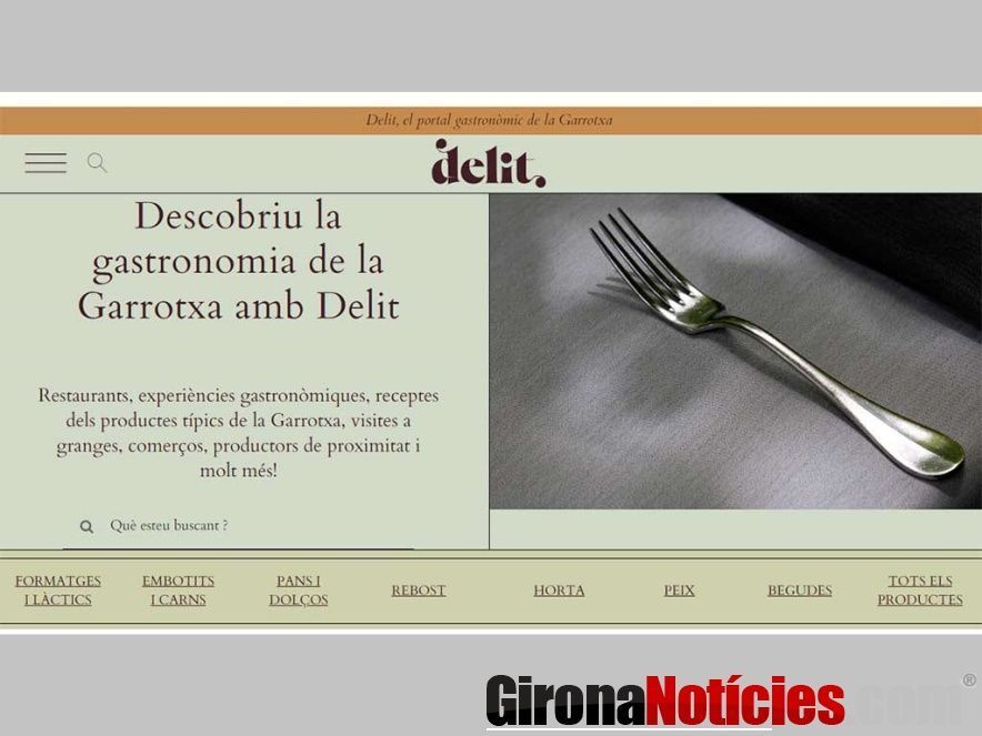 Delit 
