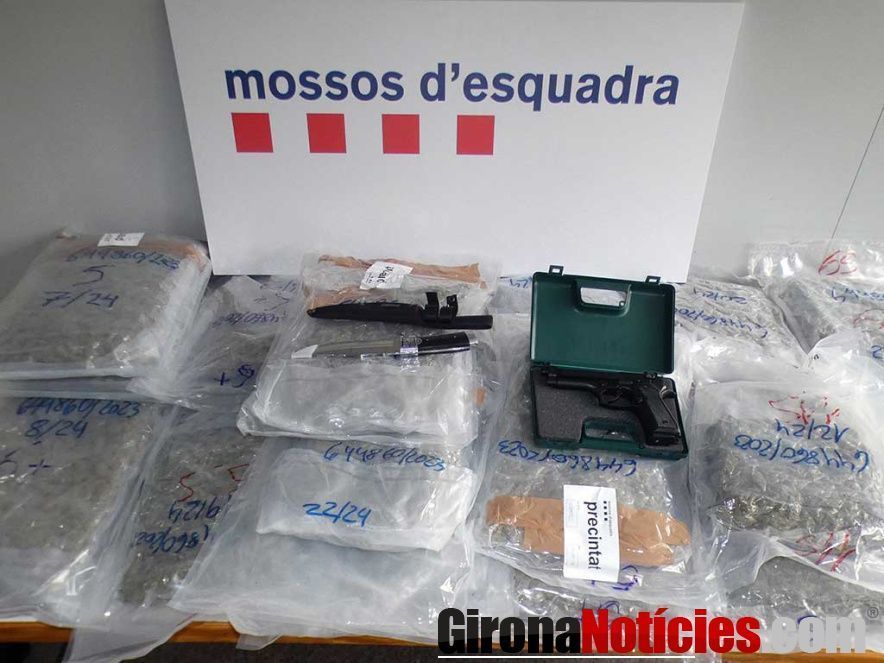 Mossos d'Esquadra 