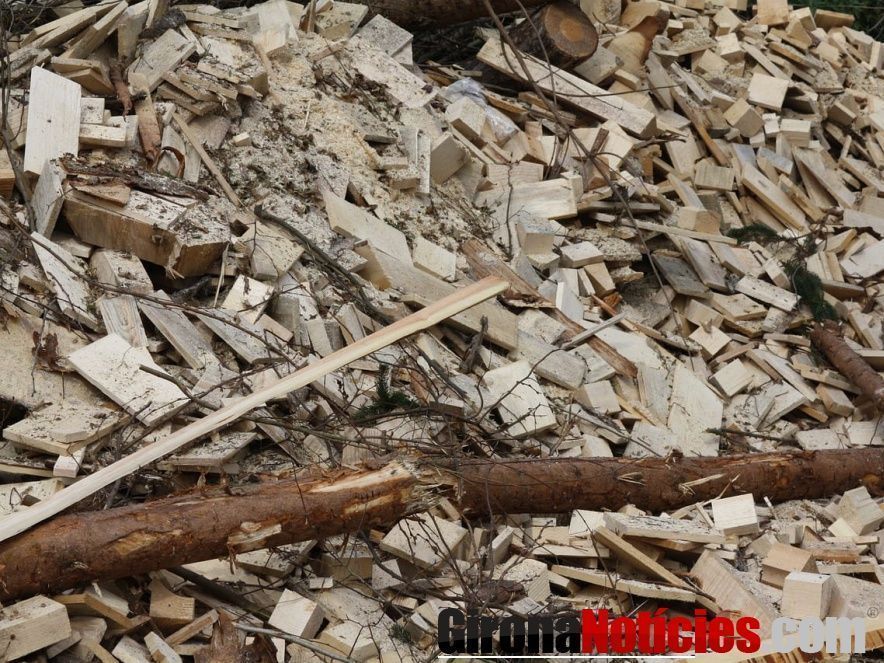 Biomasa madera