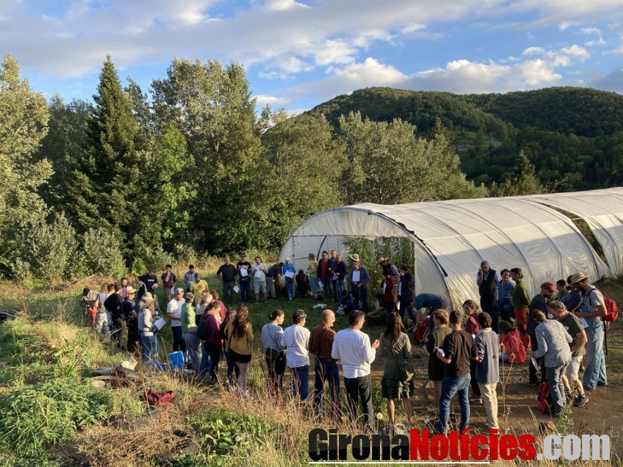 agricultura regenerativa 