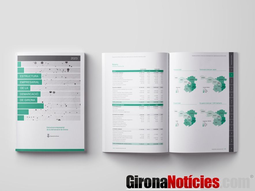 Estudi empresarial 