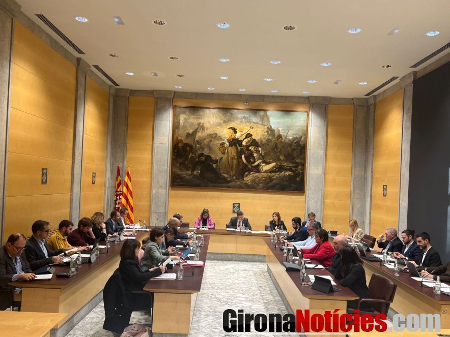 Ple de la Diputació de Girona 