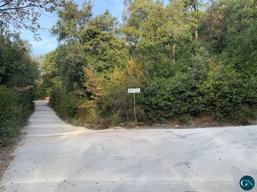  Camí de Pelegrí i Serra del Bosc de Begudà  