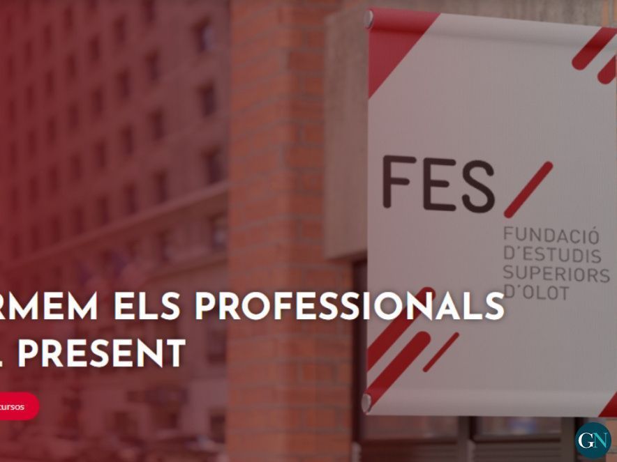 FES 