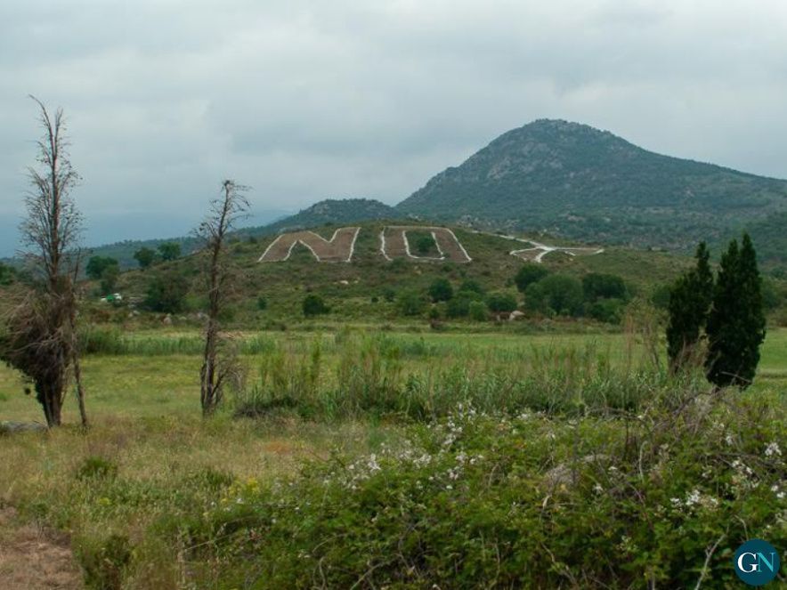 Artemi Bellés