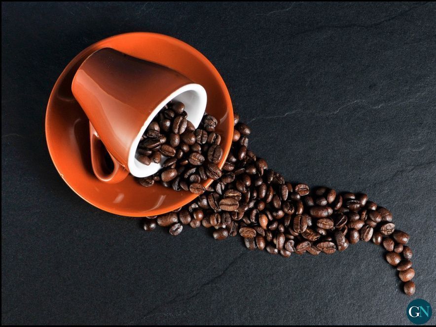 Café de especialidad 