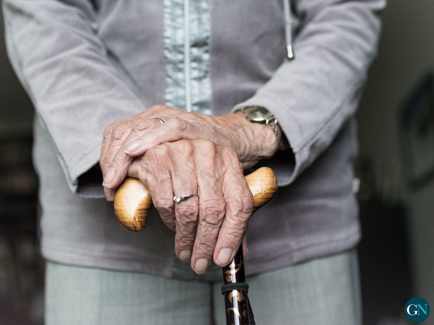 Fisiterapia senior 