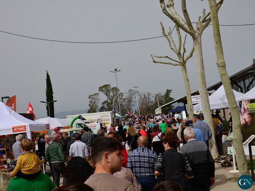 Fira de Primavera de Campllong  2024 