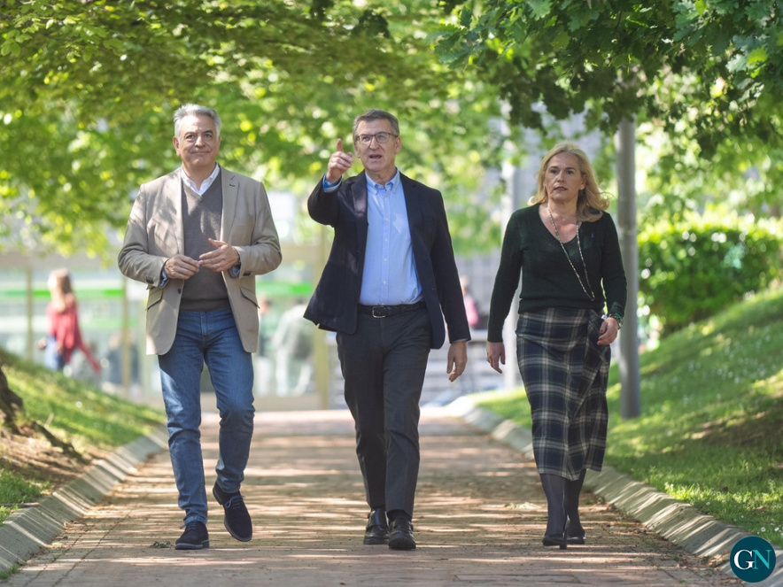 Feijóo en la campaña del PP