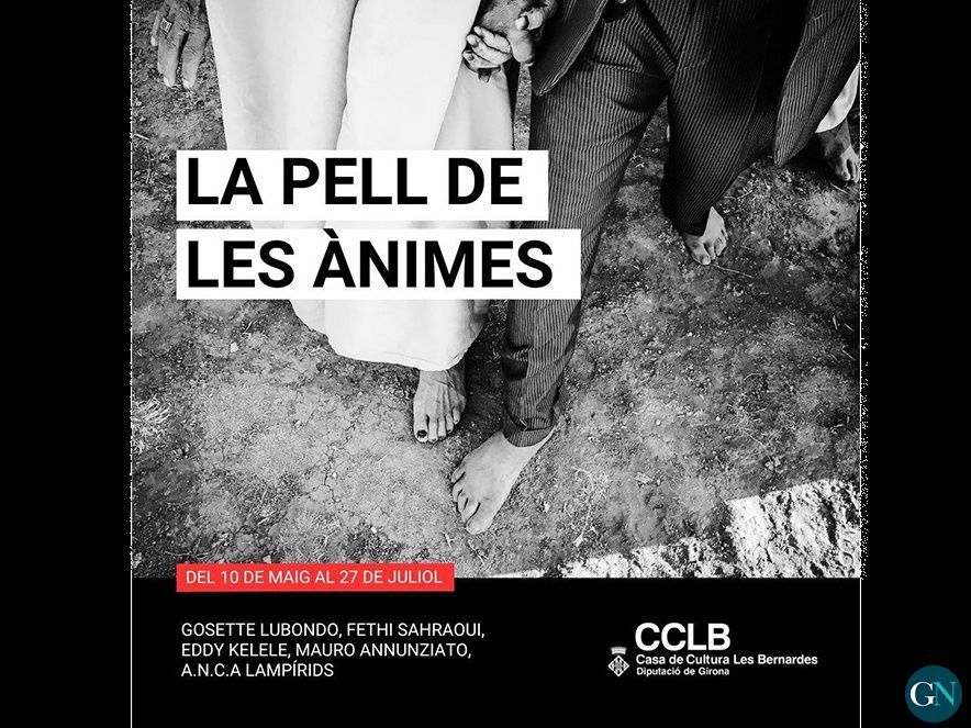 La pell de les ànimes 