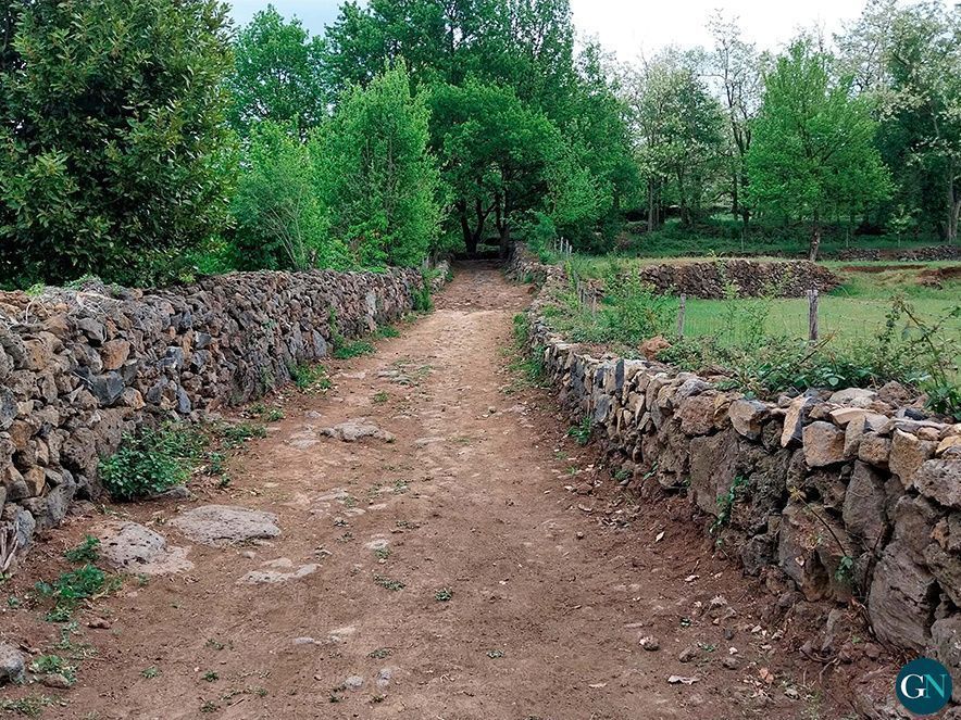 Camí ral 