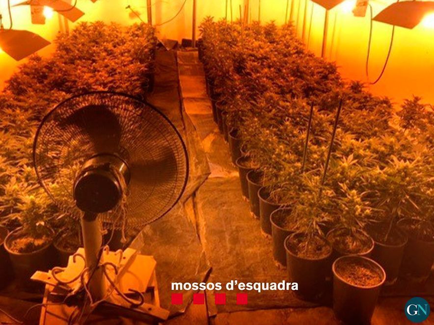 Mossos d'Esquadra 