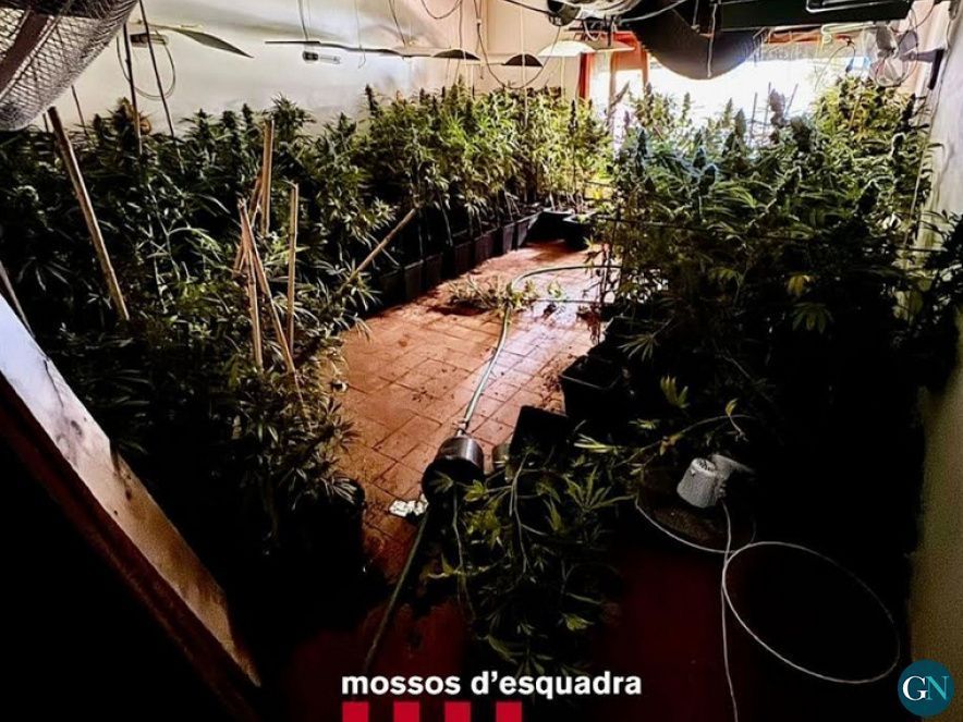 Mossos d'Esquadra 