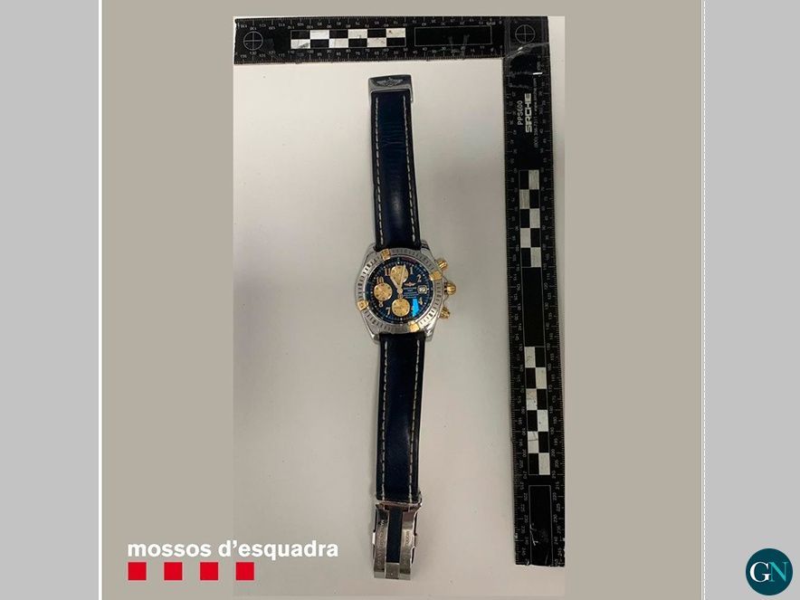 Mossos d'Esquadra 