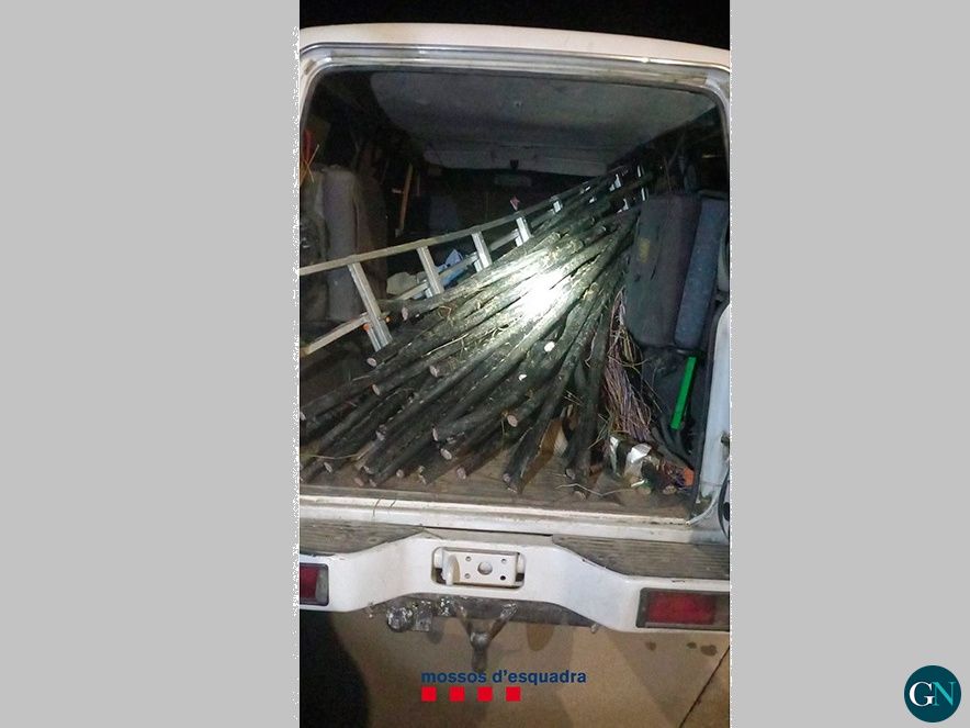Mossos d'Esquadra 