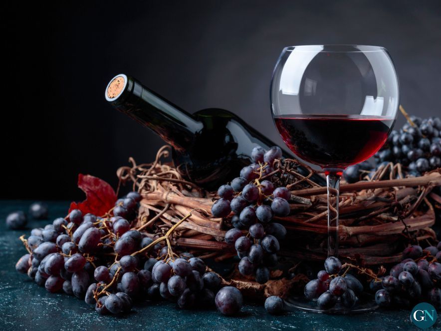 filtros para bodegas 