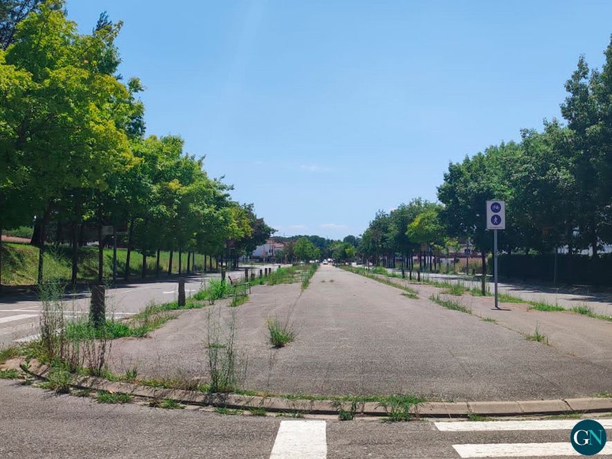 Avui a la ciutat de Girona 