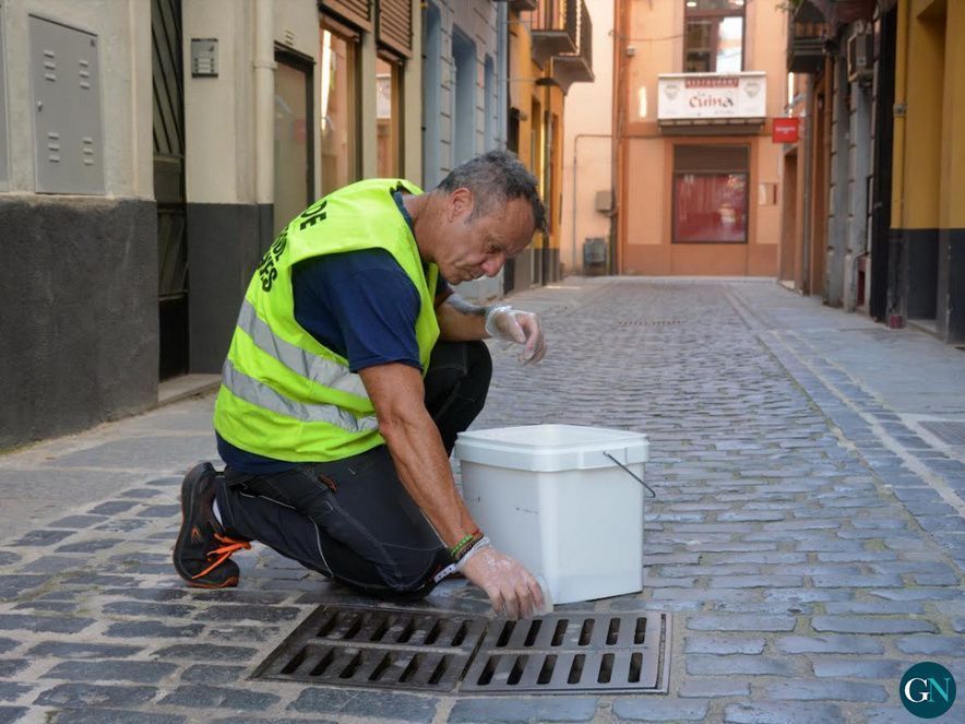 Actuació de control del mosquit tigre / Aj.Olot 