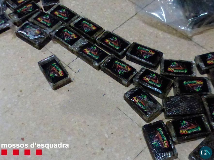 Mossos d'Esquadra 