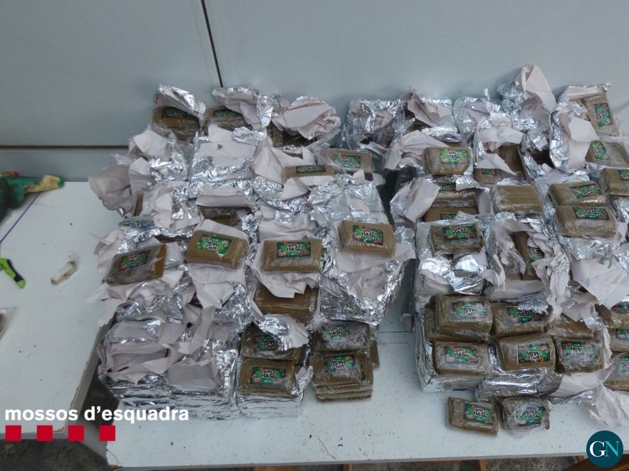 Mossos d'Esquadra 