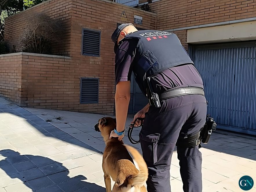 Operatiu especial antidroga a Figueres / © Gironanoticies.com 
