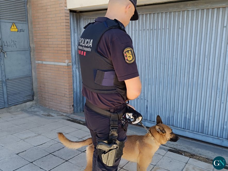 Operatiu especial antidroga a Figueres / © Gironanoticies.com 