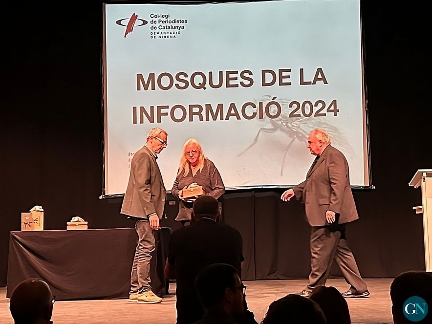 Mosques de la Informació 2024 