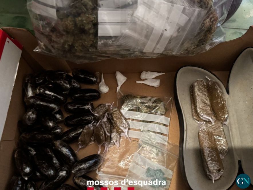 Mossos d'Esquadra 
