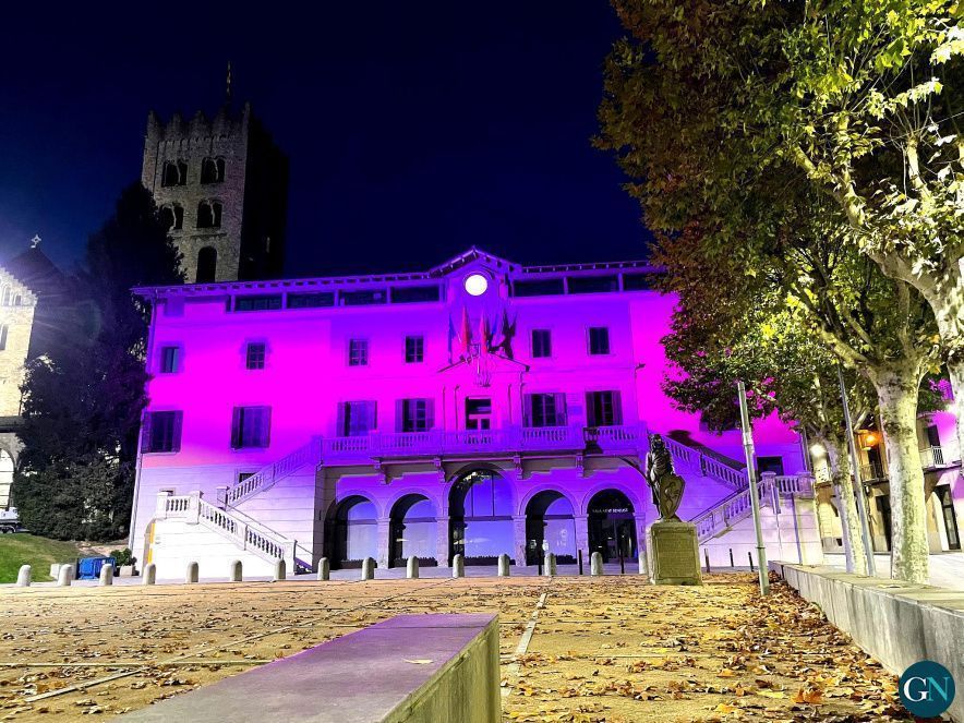 L'Ajuntament de Ripoll s'ha tenyit de color lila / Aj.Ripoll 