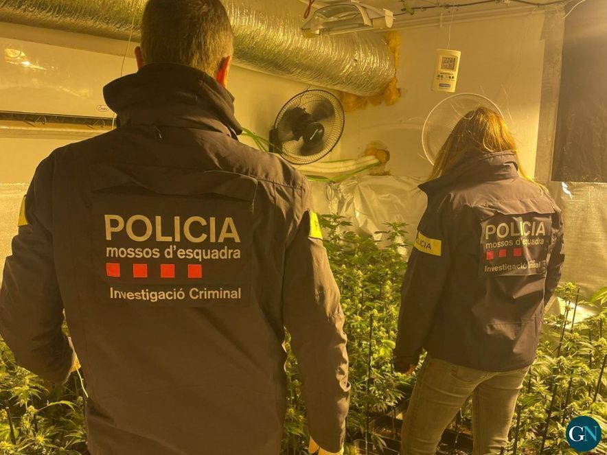 Mossos d'Esquadra 