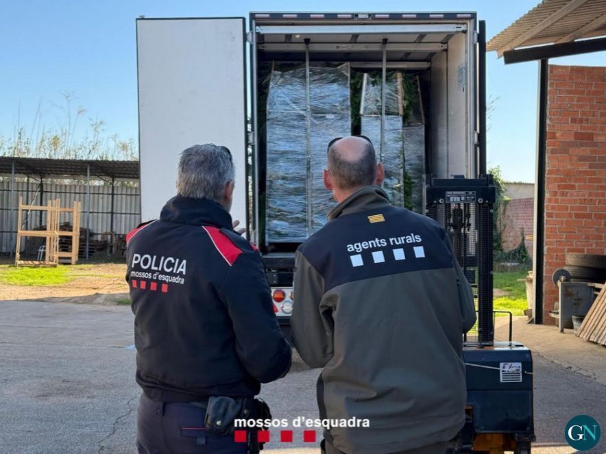 Mossos d'Esquadra 