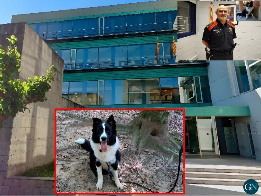 Jutjats de Figueres