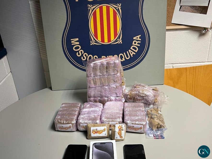 Mossos