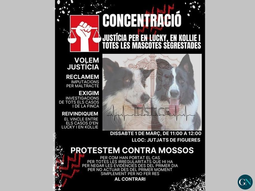 Concentració a Figueres