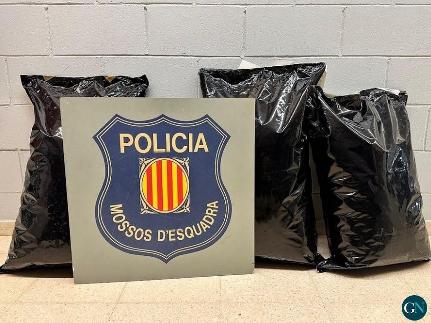 Mossos d'Esquadra 