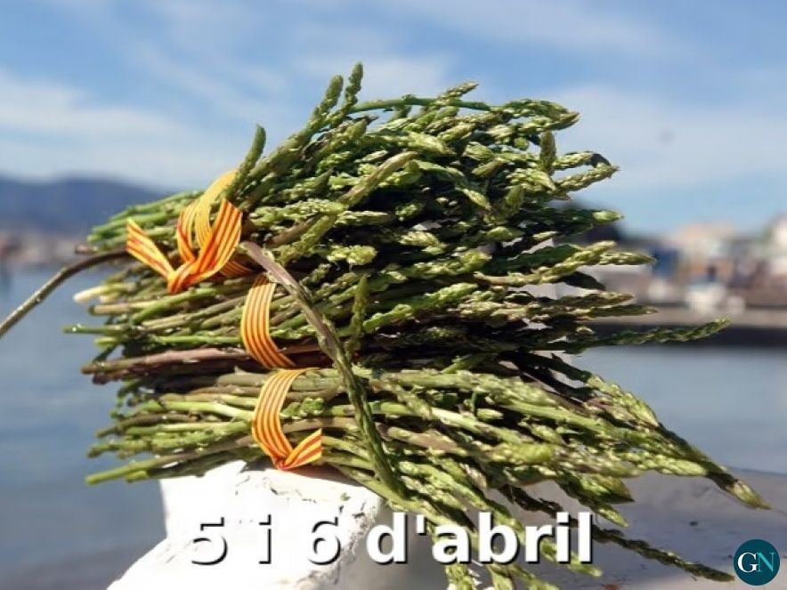 XIV Fira de l’Espàrrec  